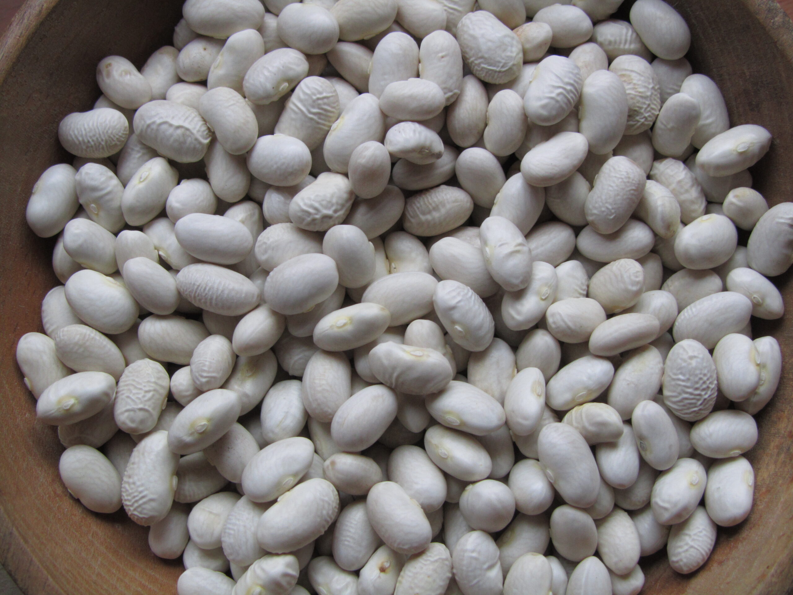 Drabo Soup Bean seeds