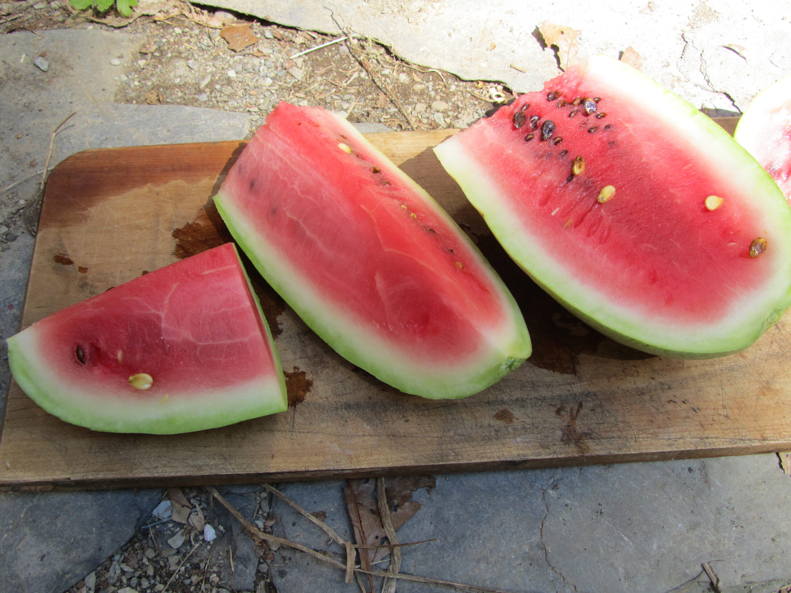 Ali Baba Watermelon Seeds