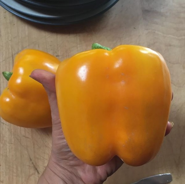 thumbnail image 2 of Golden Cal Wonder Bell Pepper Seeds – 50+ Sweet Yellow & Green Vegetable Seeds, USA 2 of 3