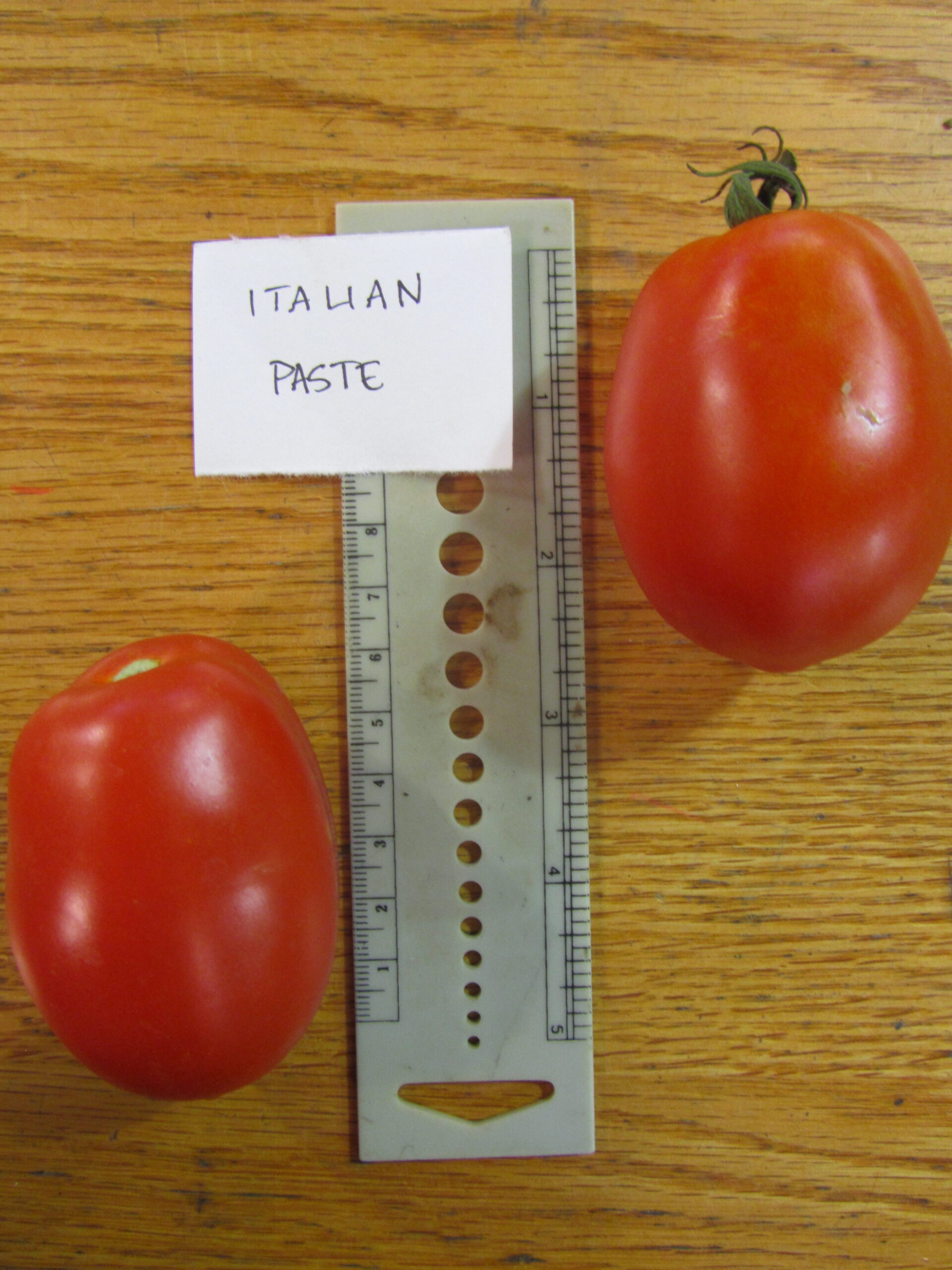 Hungarian Italian Tomato Seeds