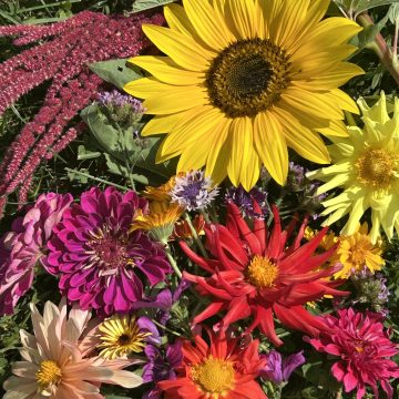 Flowers